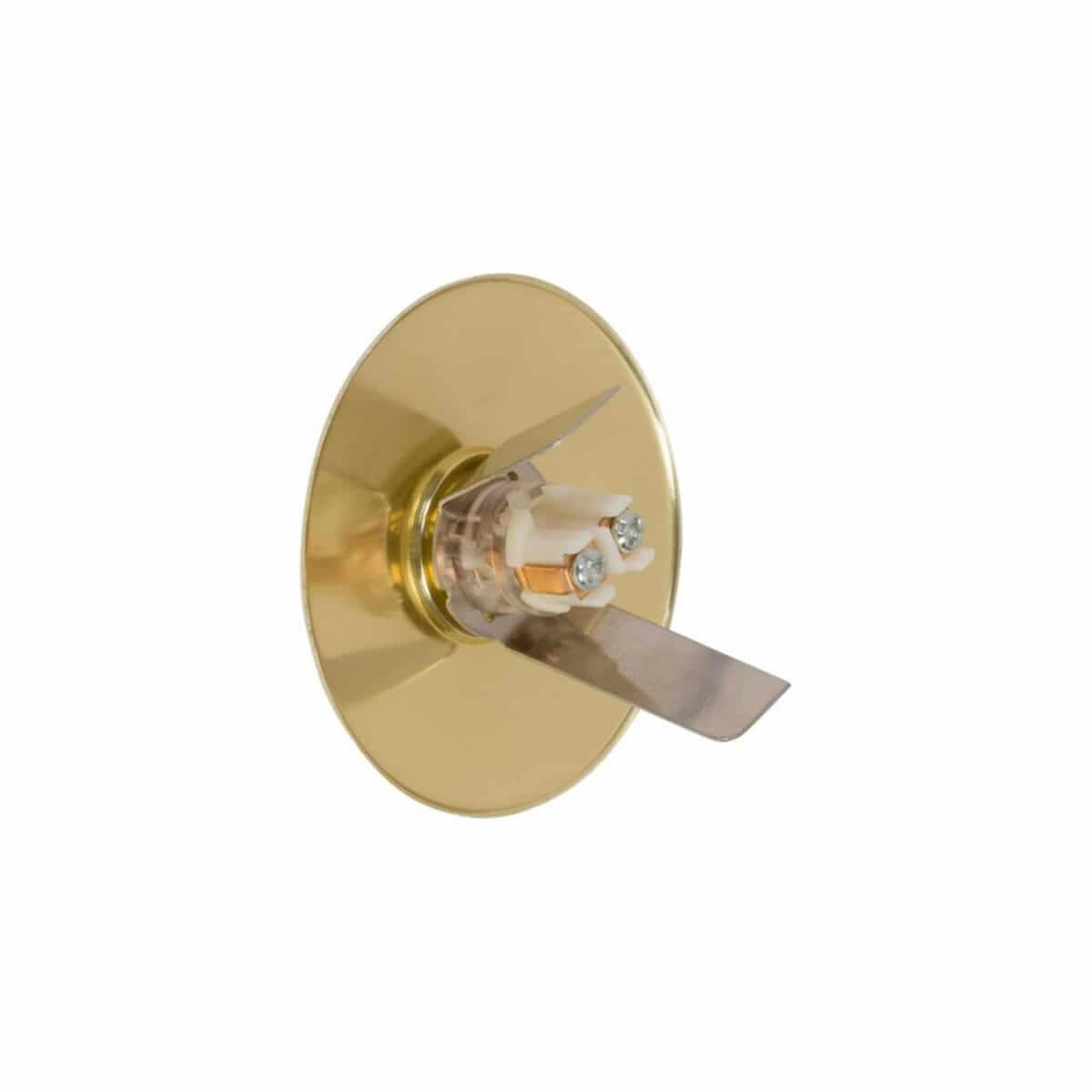 DH1260L Brass Circular Doorbell Button for Stucco Walls Back View