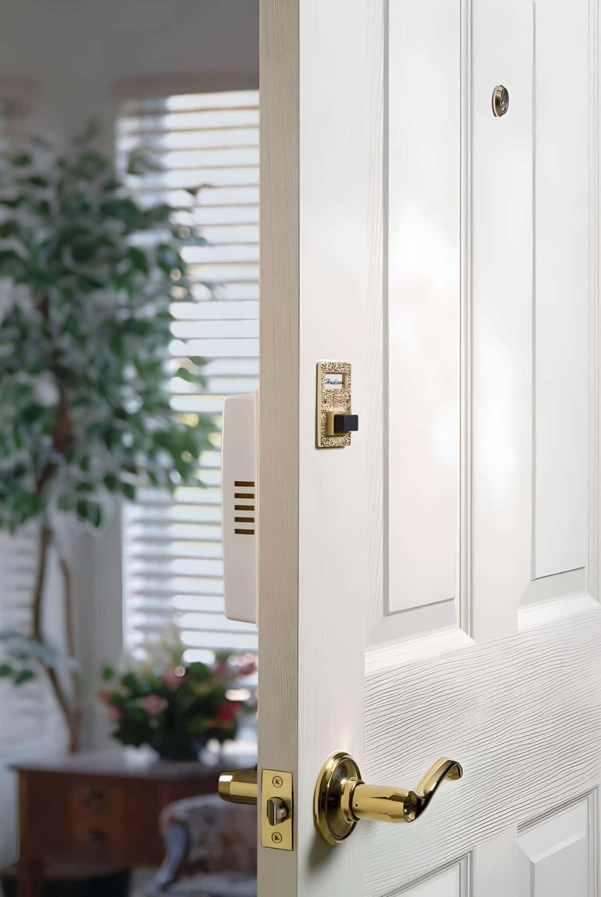 DH992 mechanical chime With peep hole viewer installed